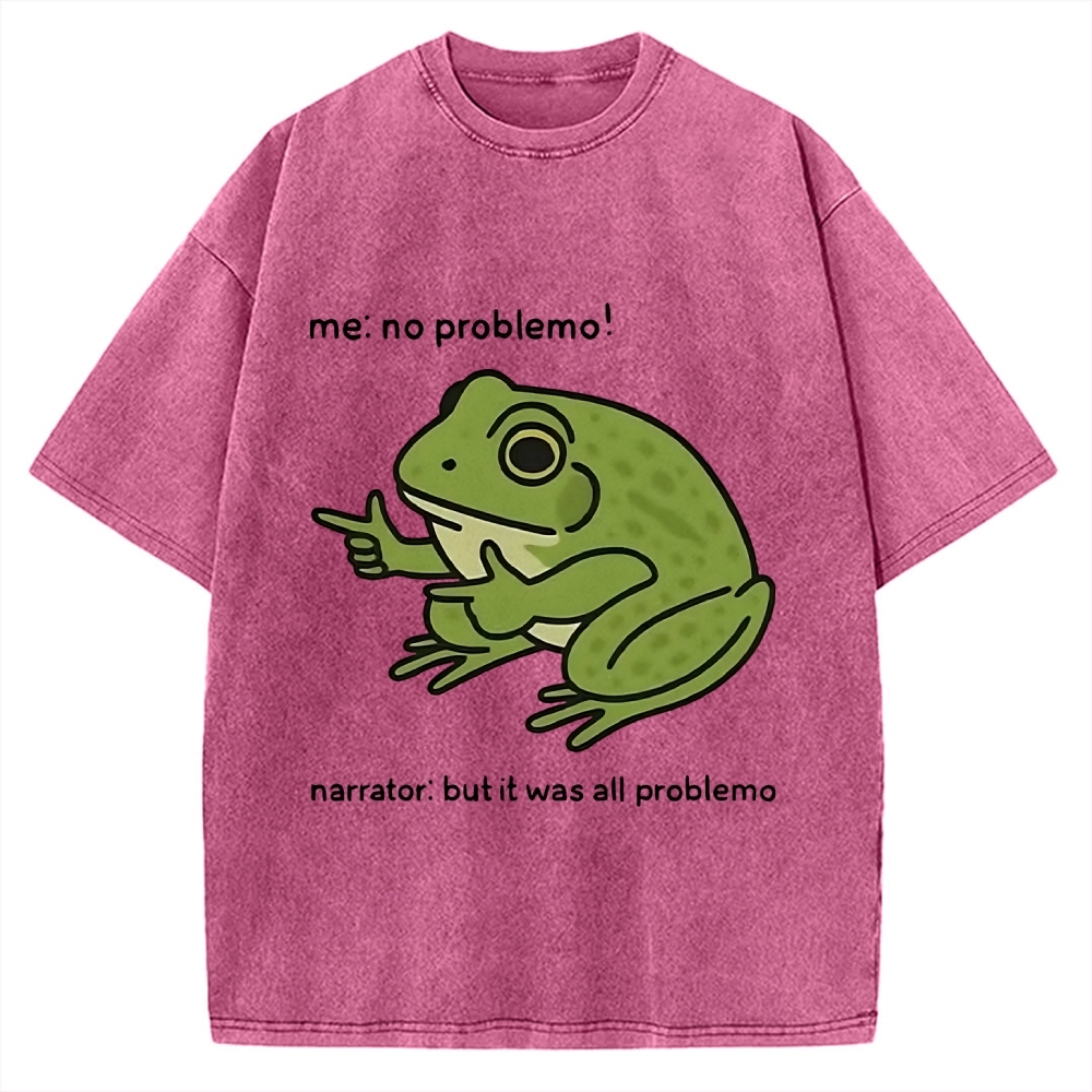 Frog Me No Problemo Narrator But It Was All Problemo Vintage Washed T-shirt