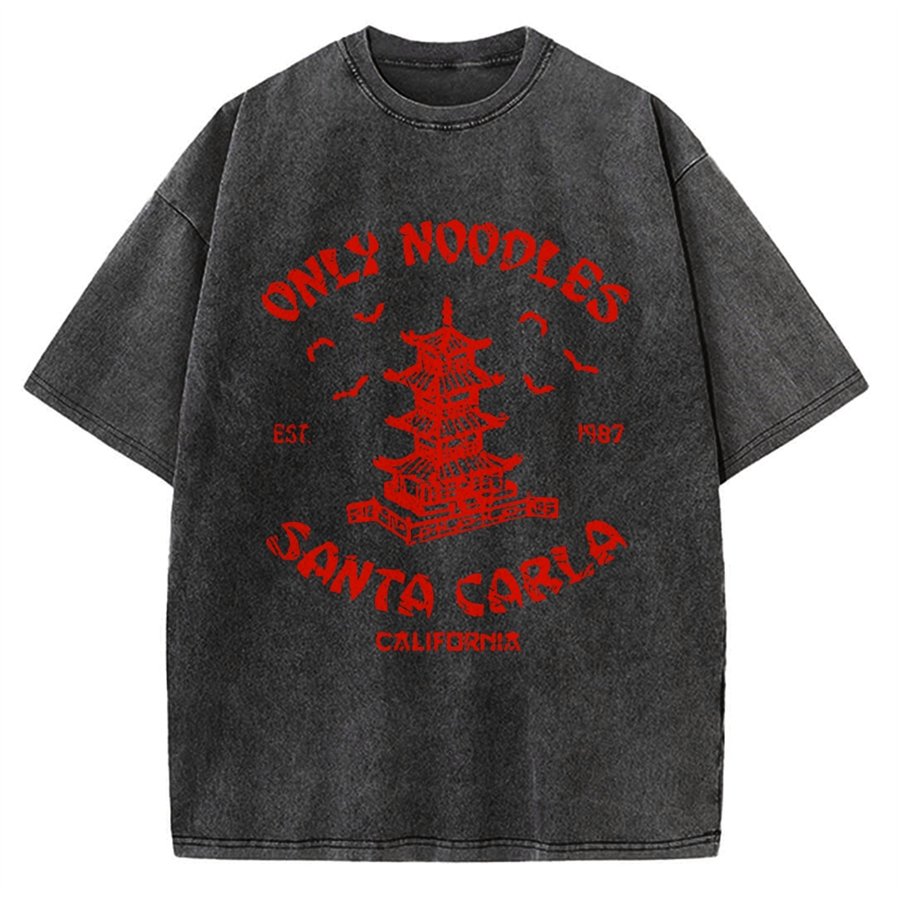 Only Noodles Santa Carla Vintage Washed T-shirt