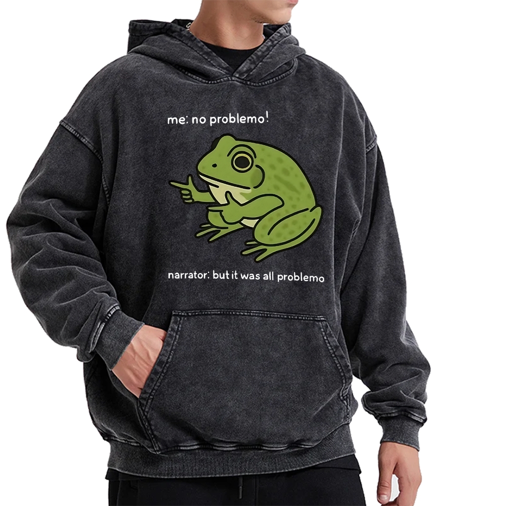 Frog Me No Problemo Narrator But It Was All Problemo Vintage Washed Hoodie