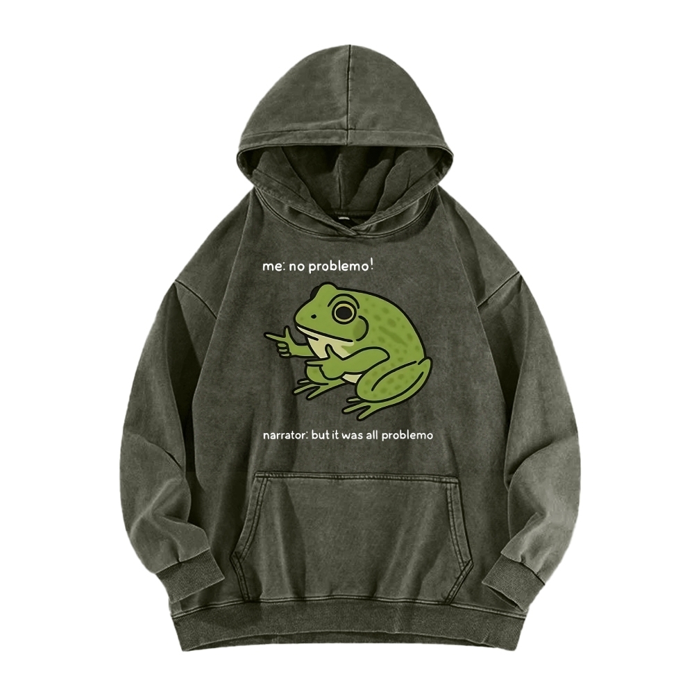 Frog Me No Problemo Narrator But It Was All Problemo Vintage Washed Hoodie
