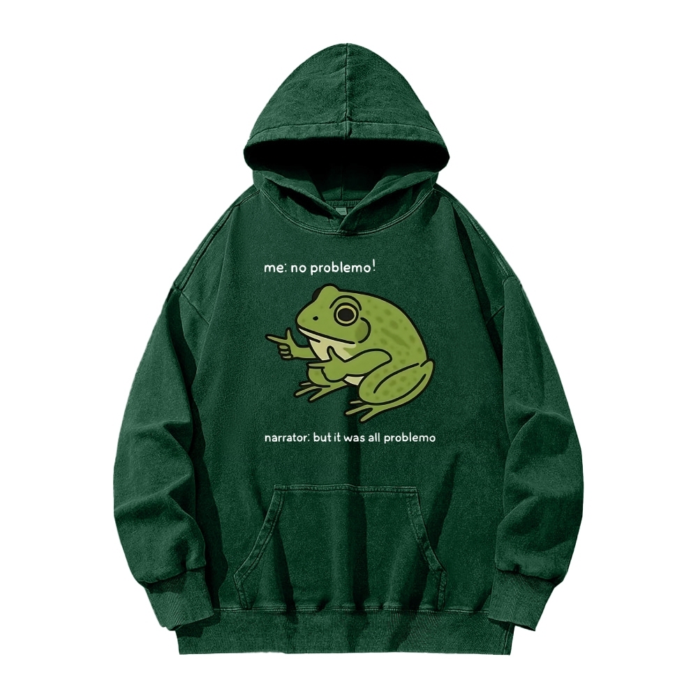 Frog Me No Problemo Narrator But It Was All Problemo Vintage Washed Hoodie