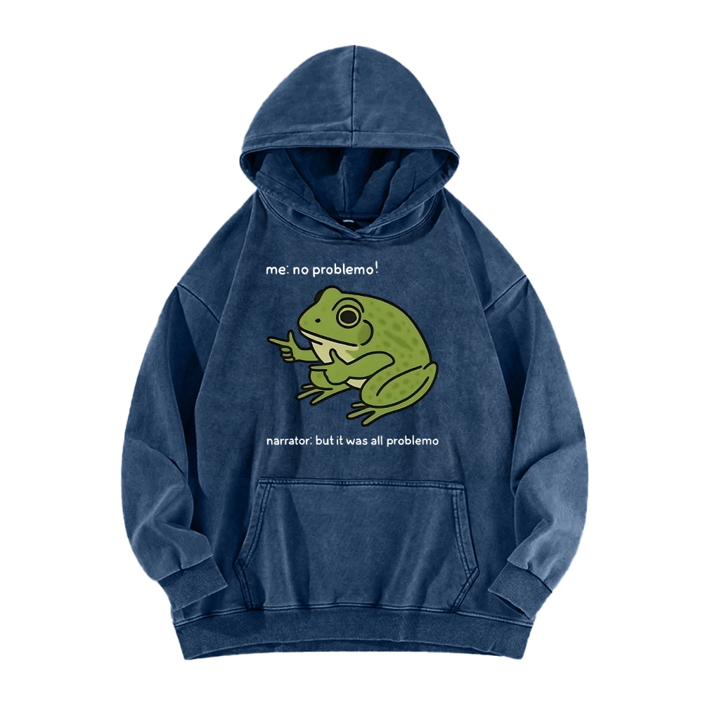 Frog Me No Problemo Narrator But It Was All Problemo Vintage Washed Hoodie