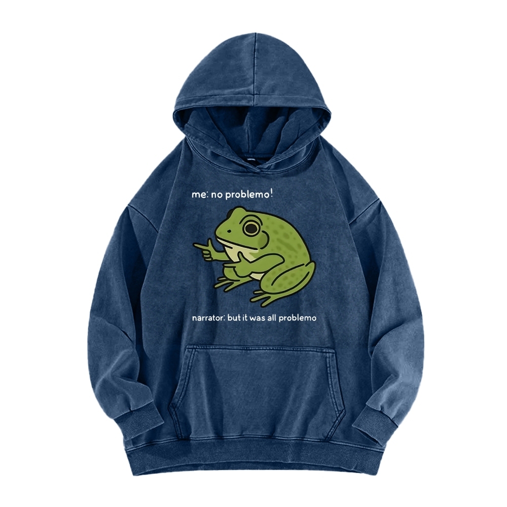Frog Me No Problemo Narrator But It Was All Problemo Vintage Washed Hoodie