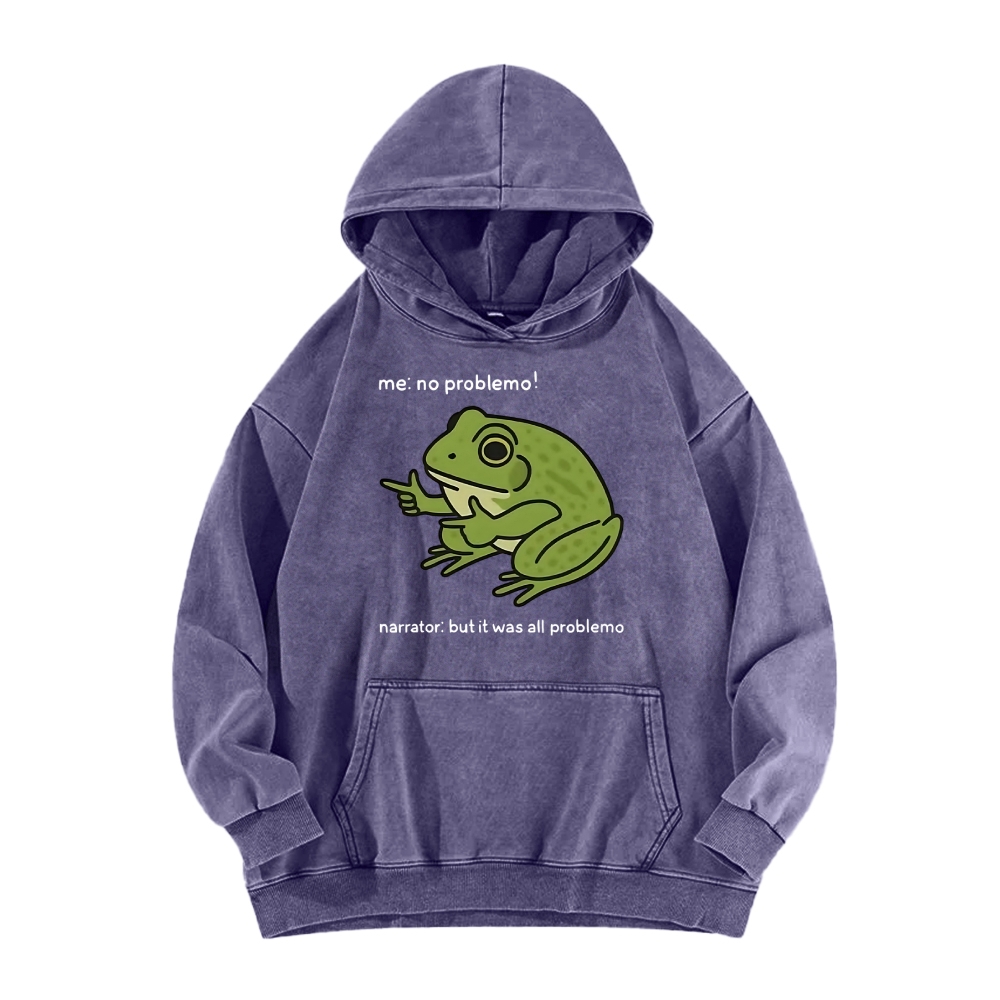 Frog Me No Problemo Narrator But It Was All Problemo Vintage Washed Hoodie