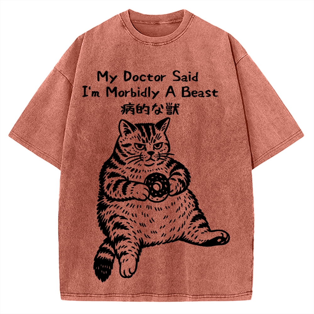 Lazy Fat Cat Vintage Washed T-shirt