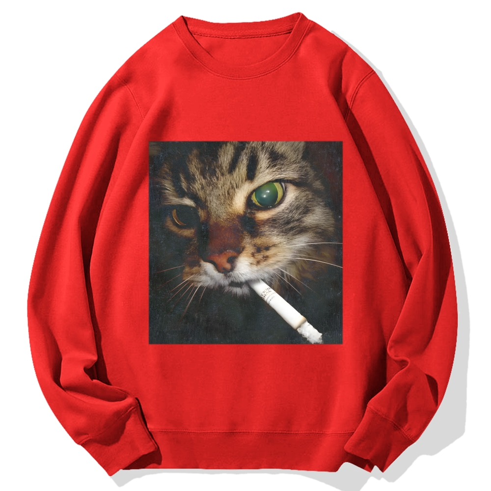 Cat Cotton Sweatshirt