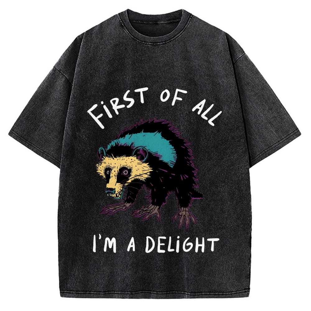 Funny opossum angry im a delight Vintage Washed T-shirt
