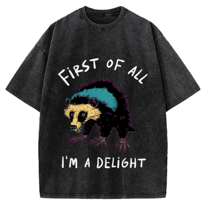 Funny opossum angry im a delight Vintage Washed T-shirt