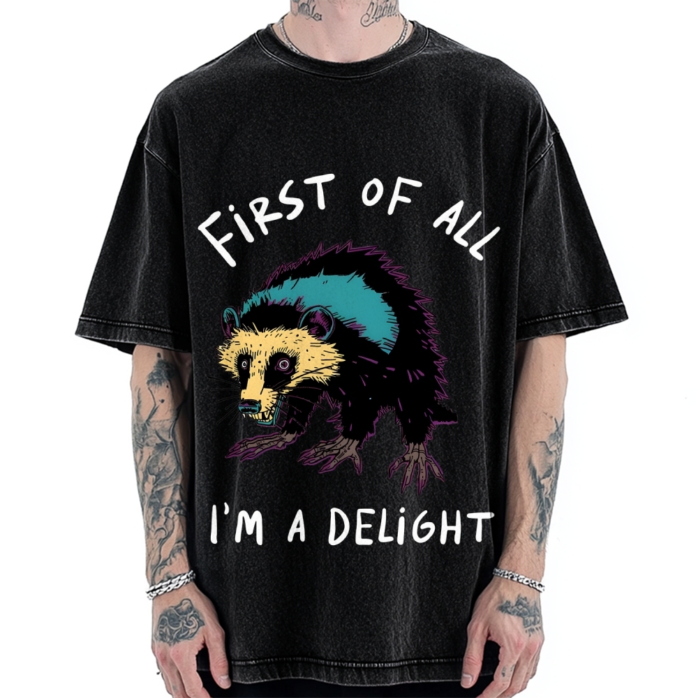 Funny opossum angry im a delight Vintage Washed T-shirt