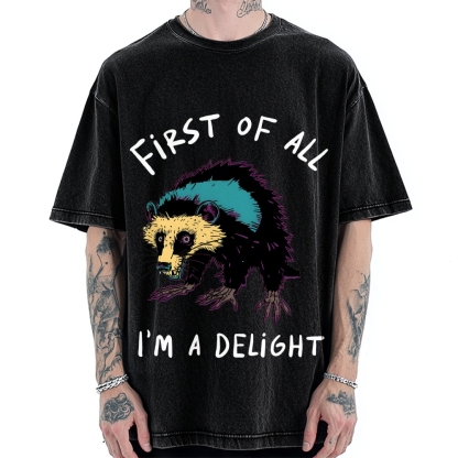 Funny opossum angry im a delight Vintage Washed T-shirt