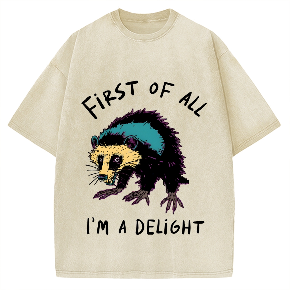 Funny opossum angry im a delight Vintage Washed T-shirt