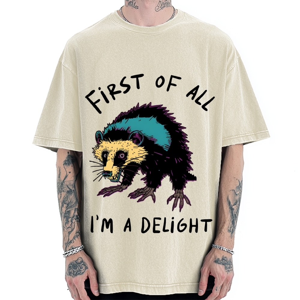 Funny opossum angry im a delight Vintage Washed T-shirt