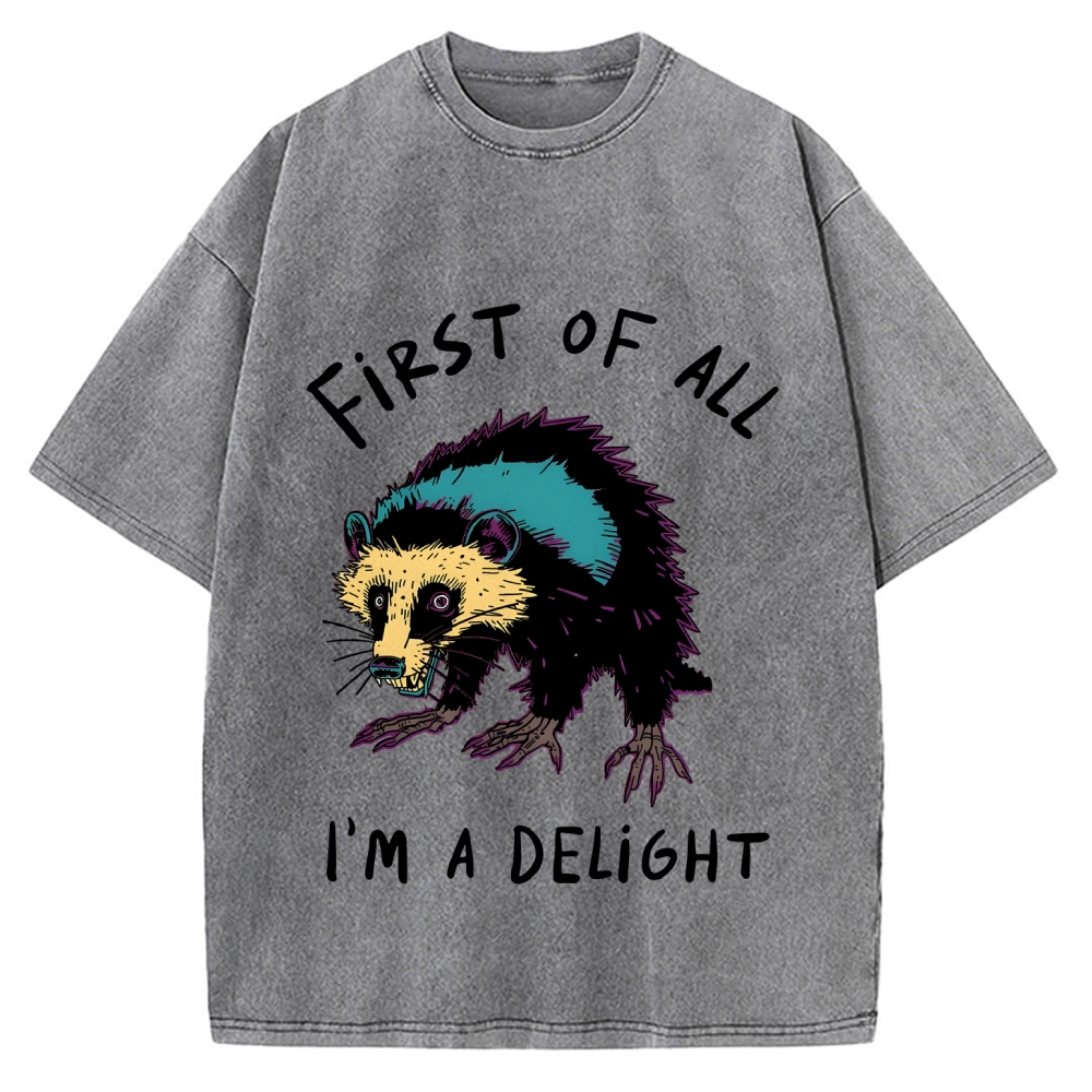 Funny opossum angry im a delight Vintage Washed T-shirt
