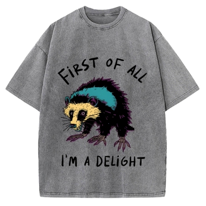 Funny opossum angry im a delight Vintage Washed T-shirt