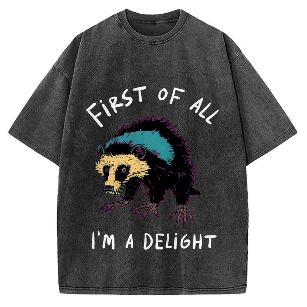 Funny opossum angry im a delight Vintage Washed T-shirt