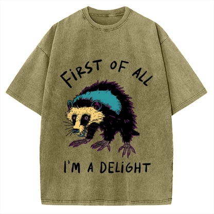 Funny opossum angry im a delight Vintage Washed T-shirt