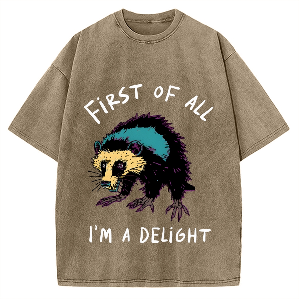 Funny opossum angry im a delight Vintage Washed T-shirt