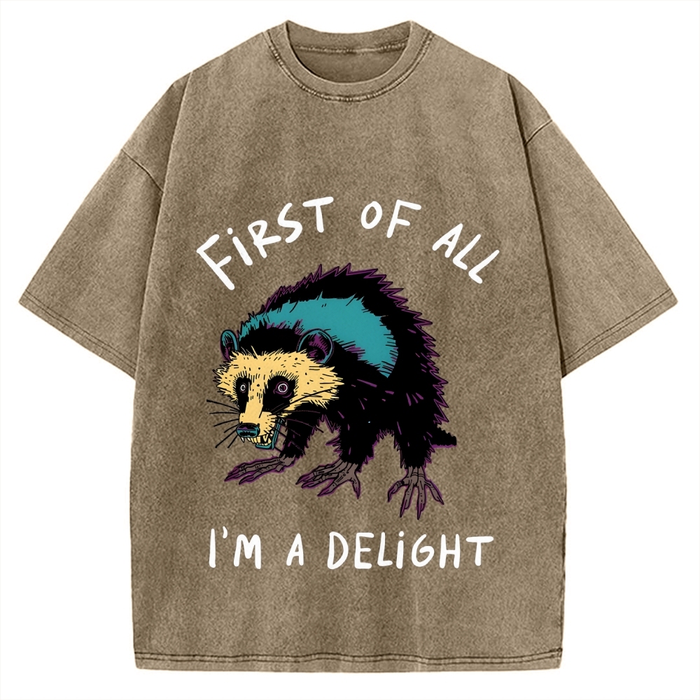 Funny opossum angry im a delight Vintage Washed T-shirt