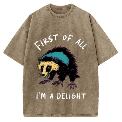 Funny opossum angry im a delight Vintage Washed T-shirt