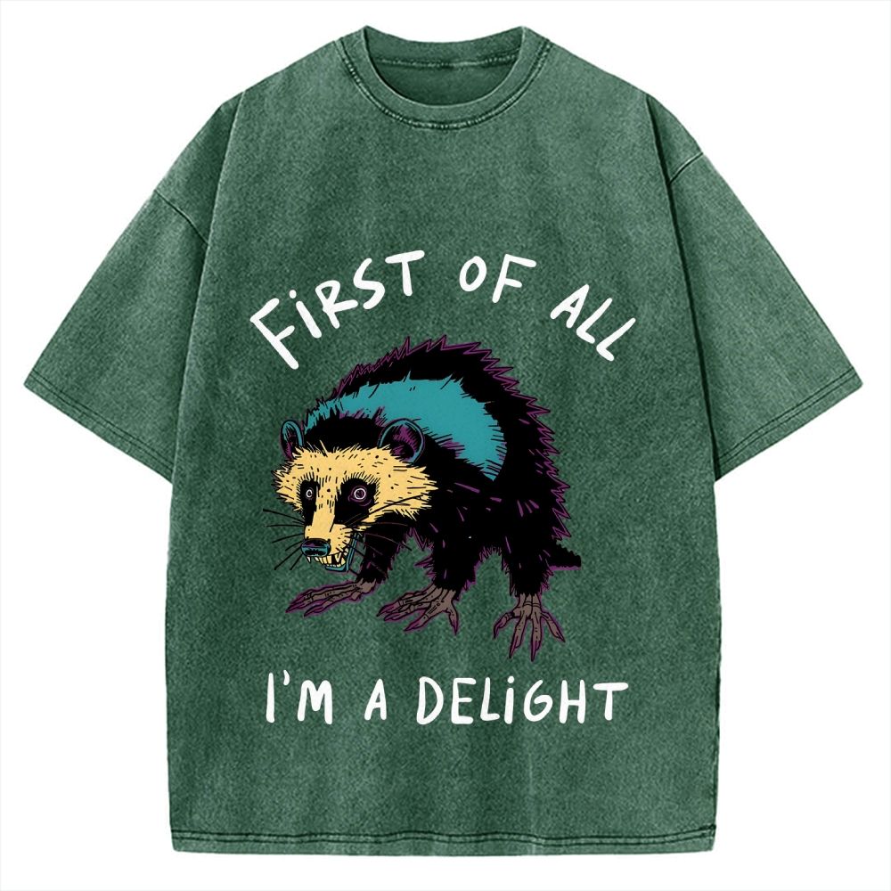 Funny opossum angry im a delight Vintage Washed T-shirt