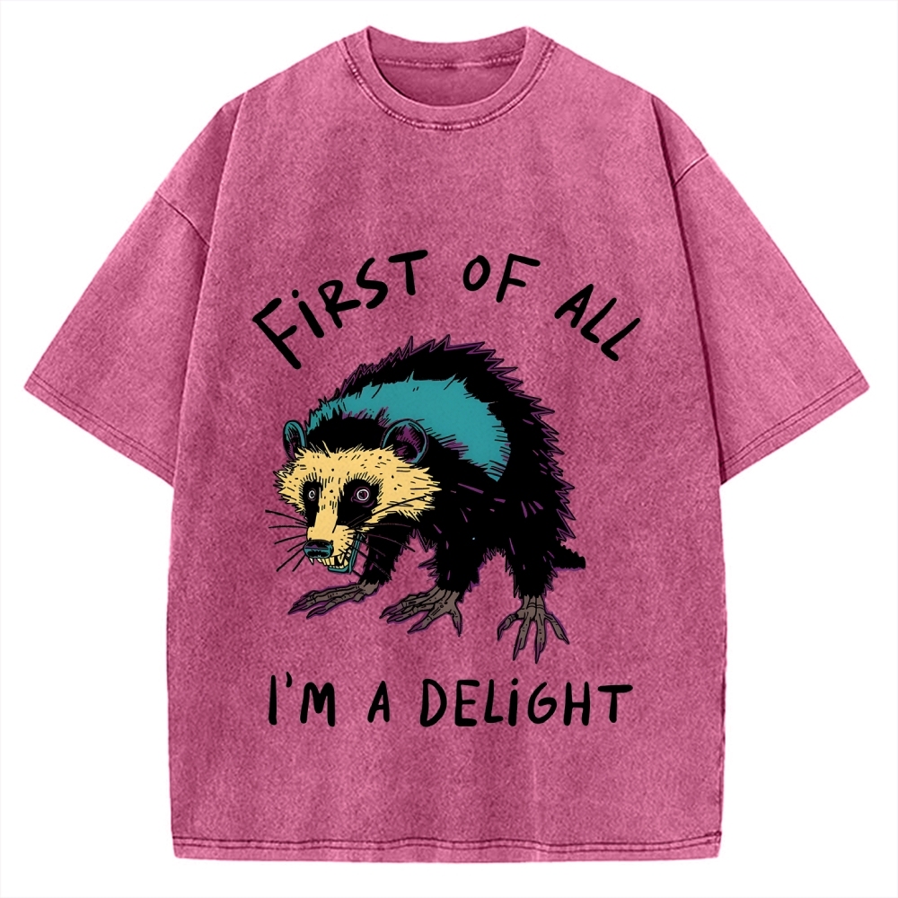 Funny opossum angry im a delight Vintage Washed T-shirt