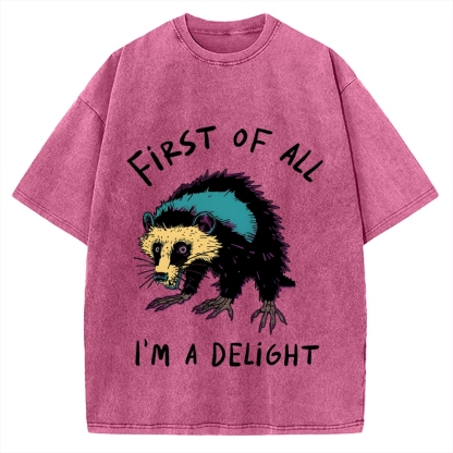 Funny opossum angry im a delight Vintage Washed T-shirt