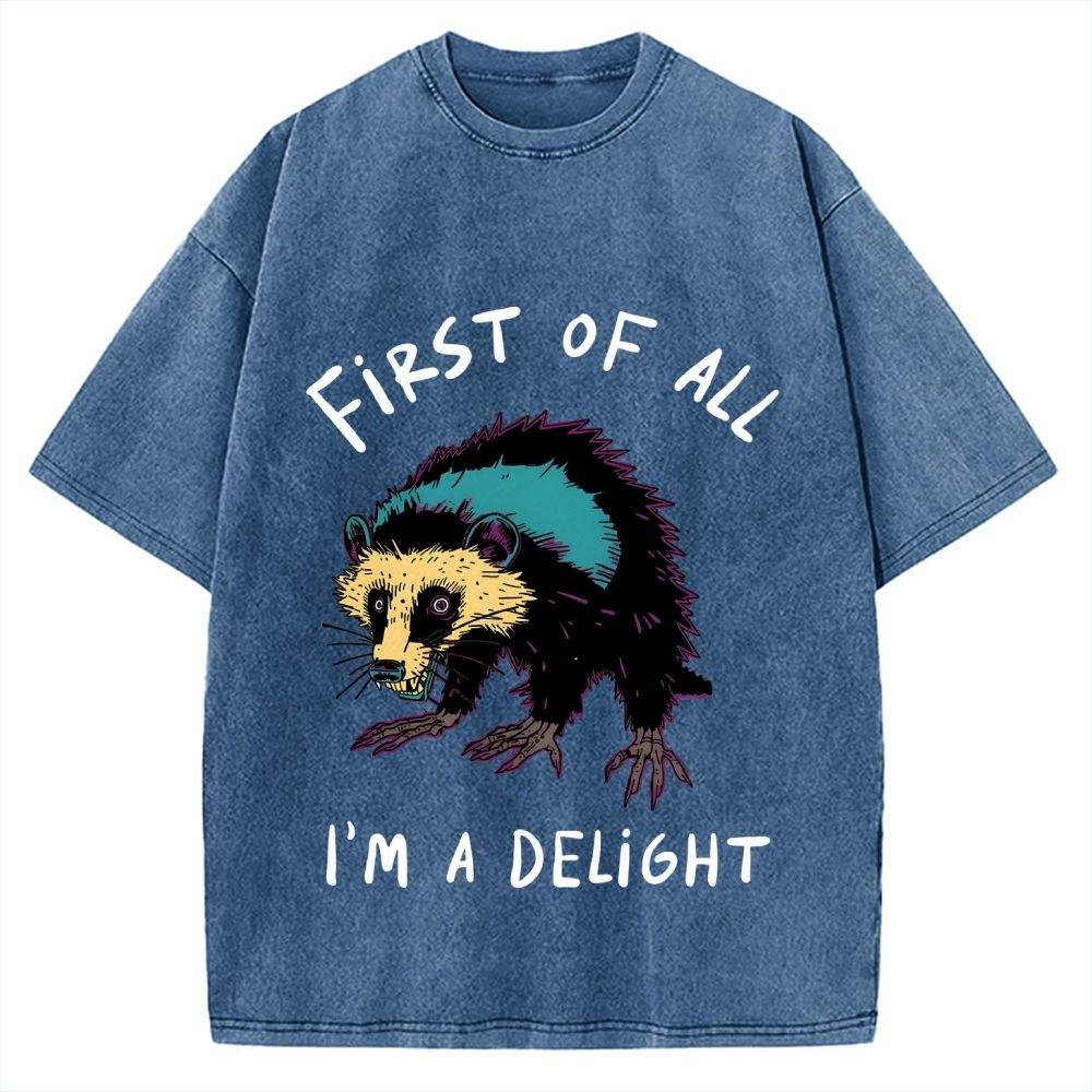 Funny opossum angry im a delight Vintage Washed T-shirt