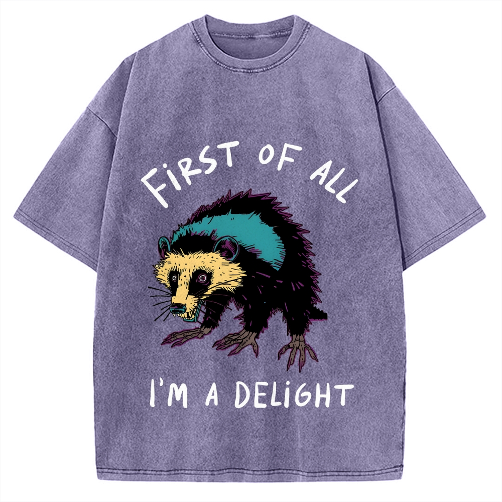 Funny opossum angry im a delight Vintage Washed T-shirt