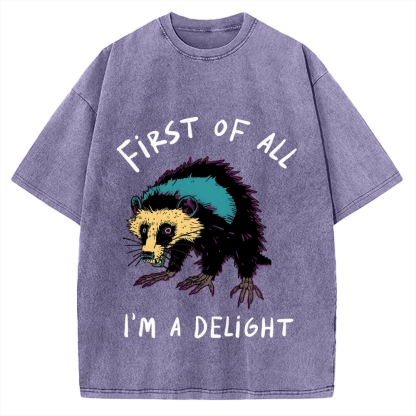 Funny opossum angry im a delight Vintage Washed T-shirt