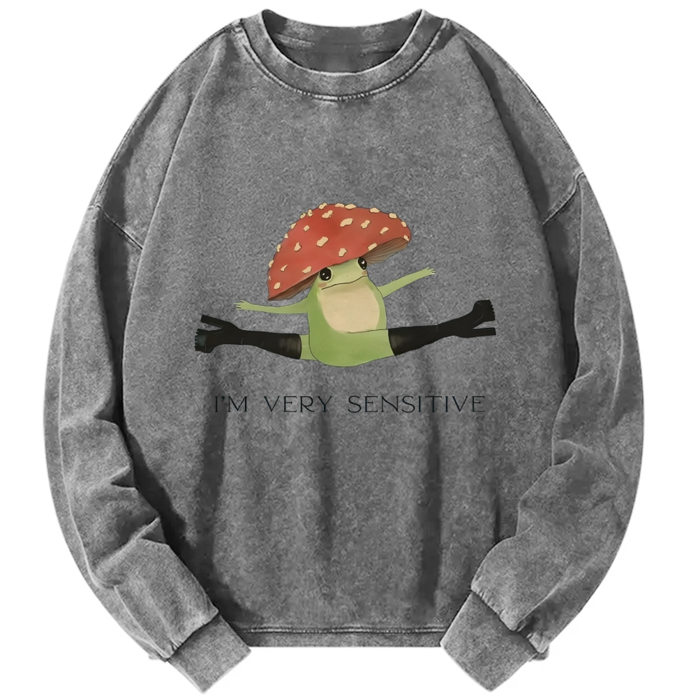 Sensitive Frog Vintage Washed Sweatshirts