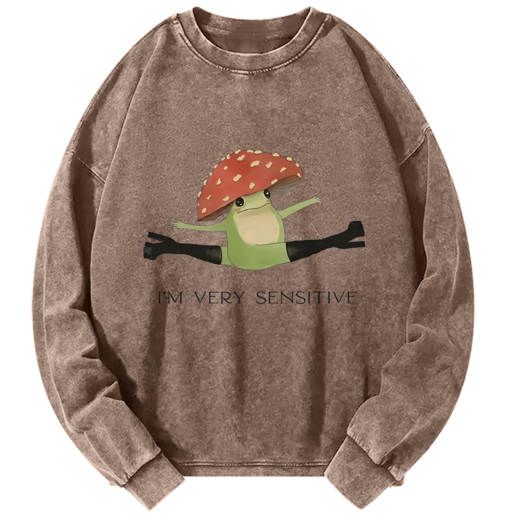 Sensitive Frog Vintage Washed Sweatshirts