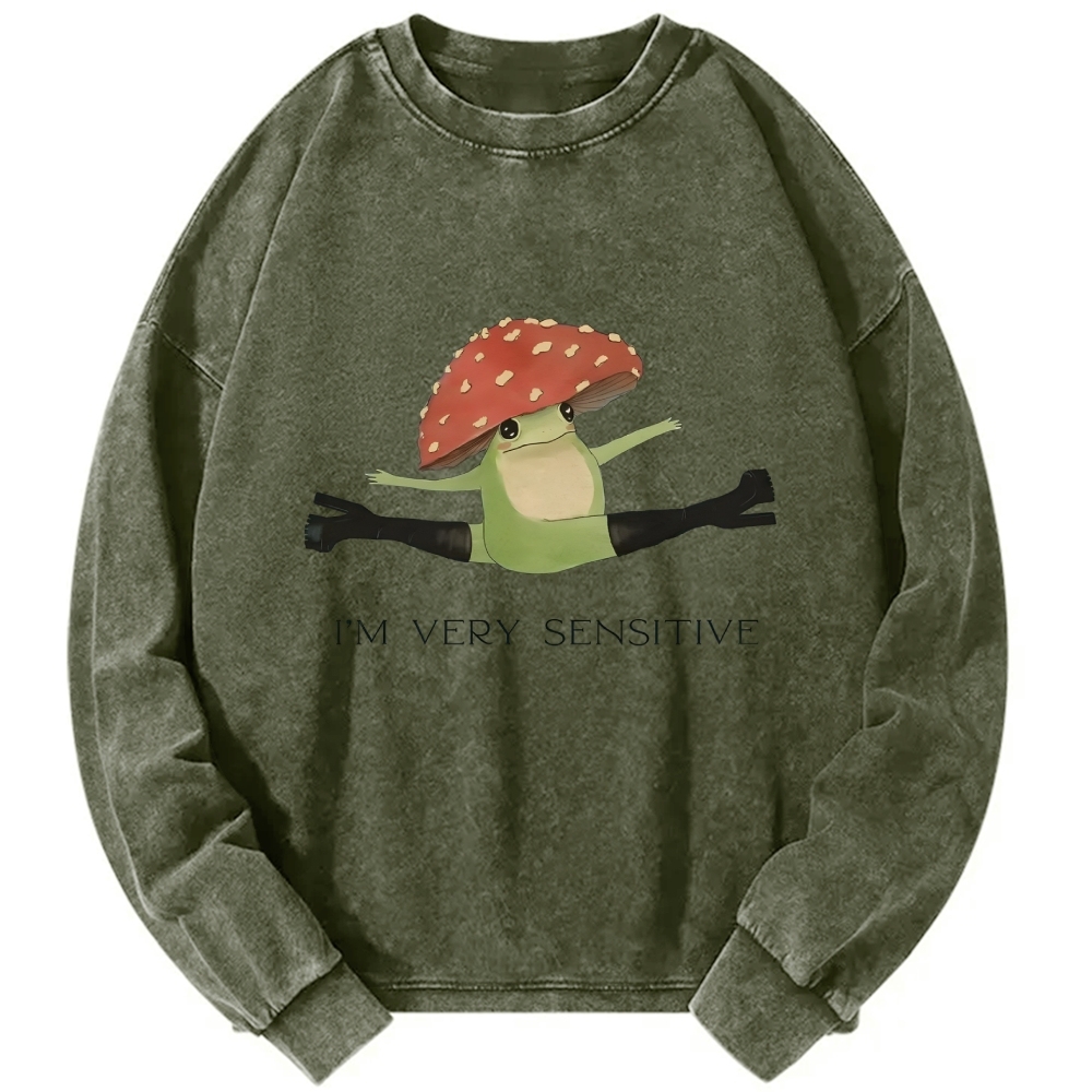Sensitive Frog Vintage Washed Sweatshirts