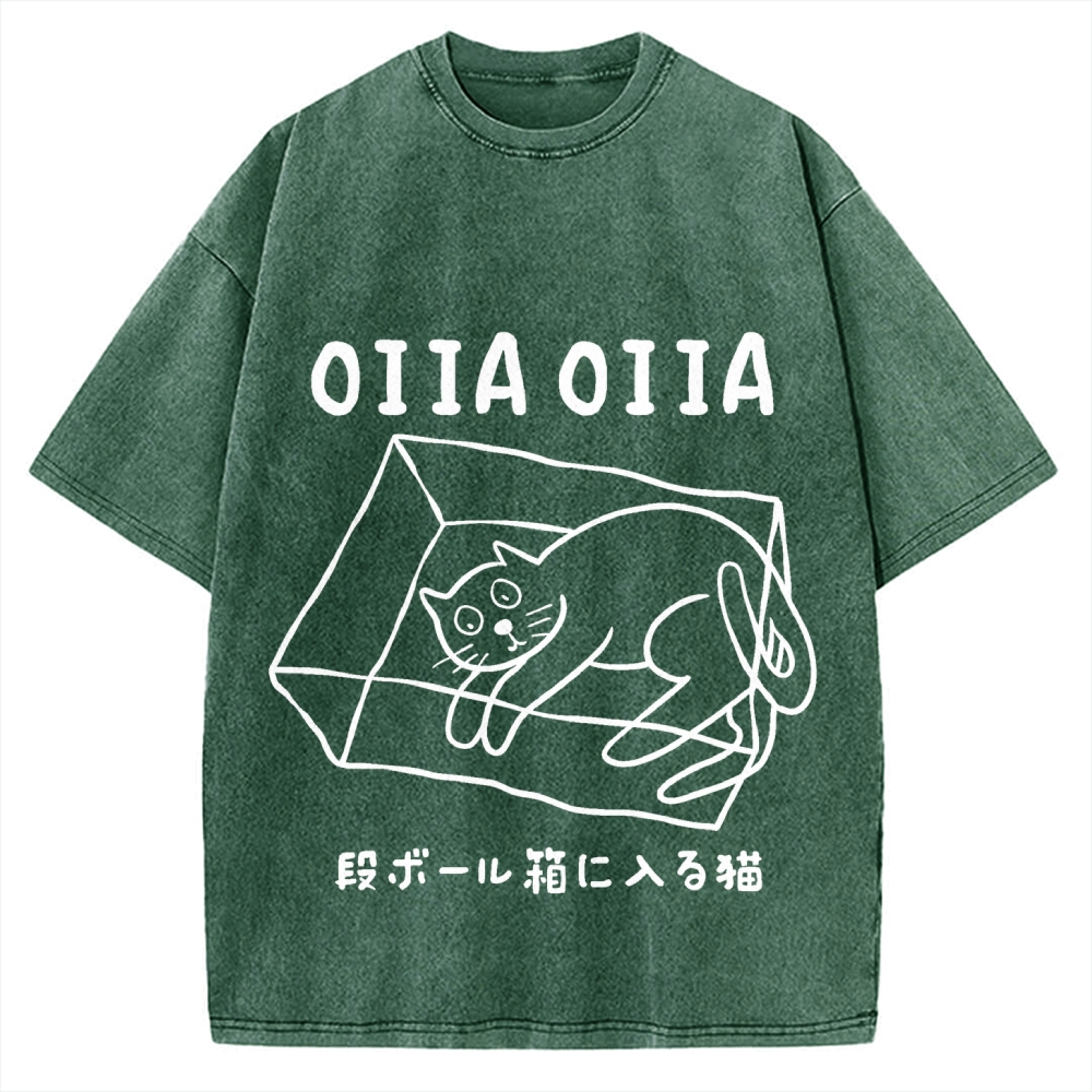 Cat Box Funny Kawaii Japanese Vintage Washed T-shirt