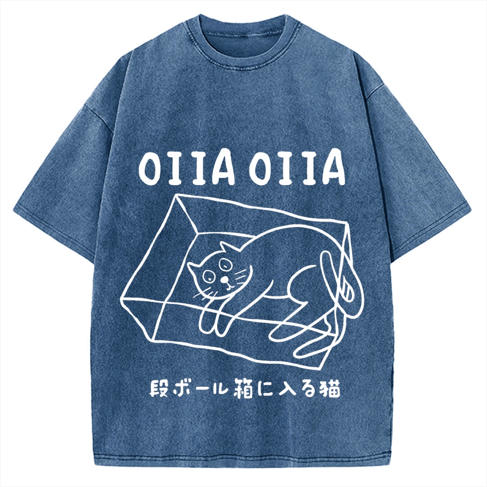 Cat Box Funny Kawaii Japanese Vintage Washed T-shirt