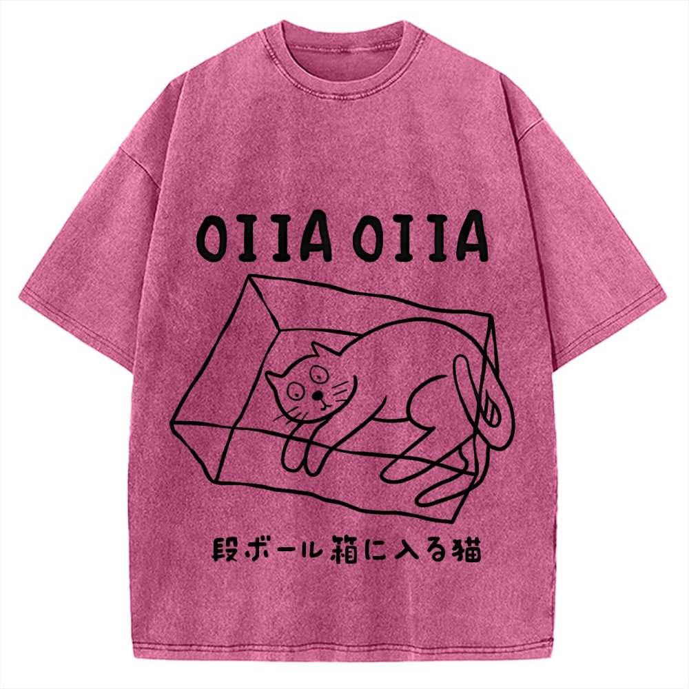 Cat Box Funny Kawaii Japanese Vintage Washed T-shirt