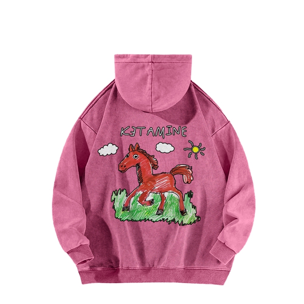 Ketamine Horse Funny Children's Drawings Front And Back Printing Vintage Washed Hoodie