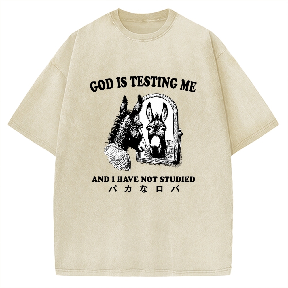 Studied Donkey Meme Vintage Washed T-shirt