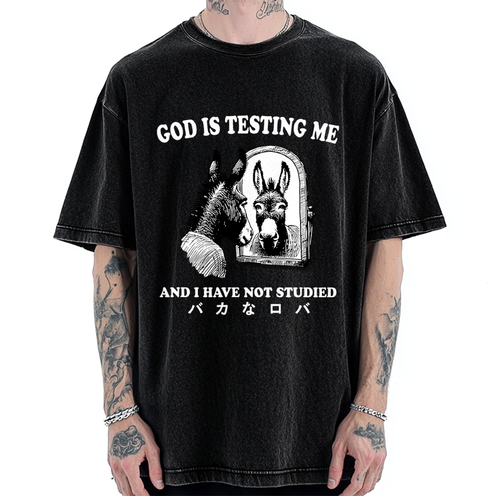 Studied Donkey Meme Vintage Washed T-shirt