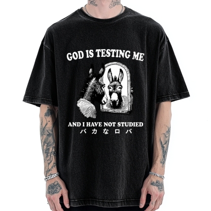 Studied Donkey Meme Vintage Washed T-shirt