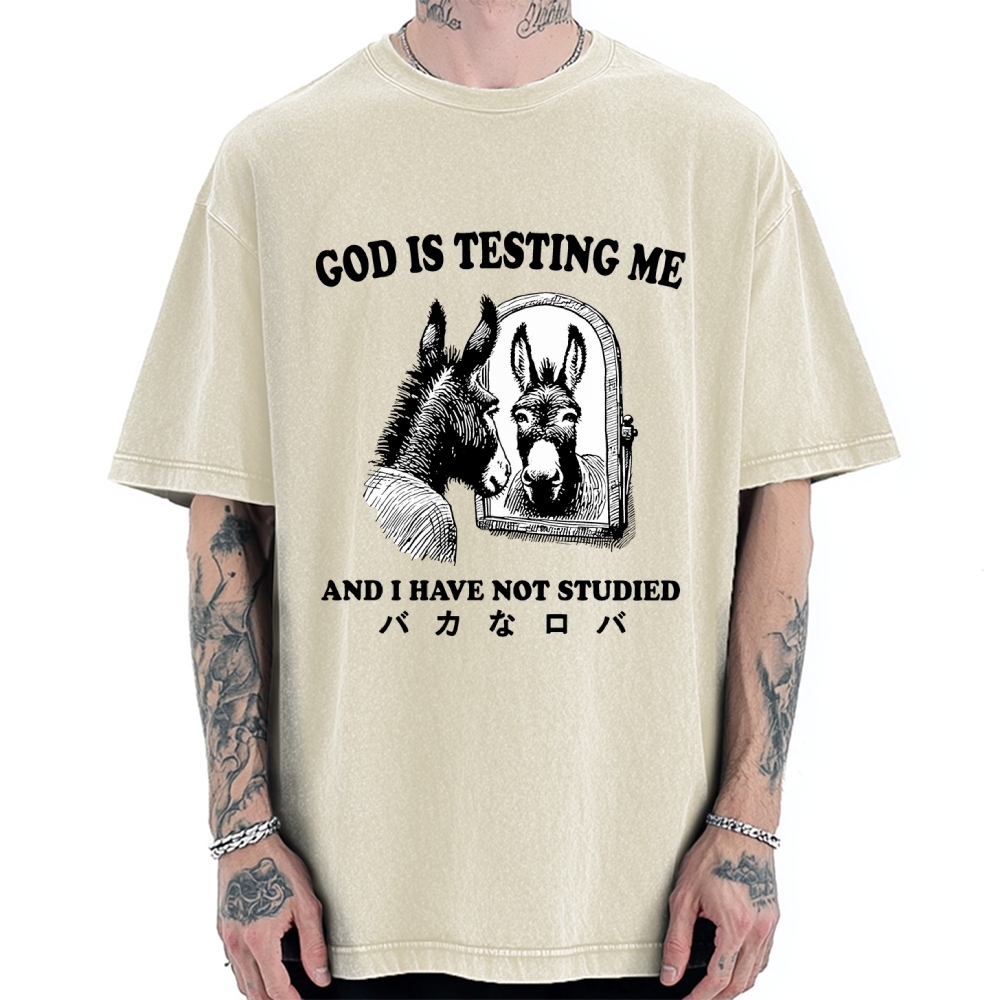 Studied Donkey Meme Vintage Washed T-shirt