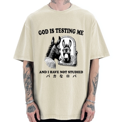 Studied Donkey Meme Vintage Washed T-shirt