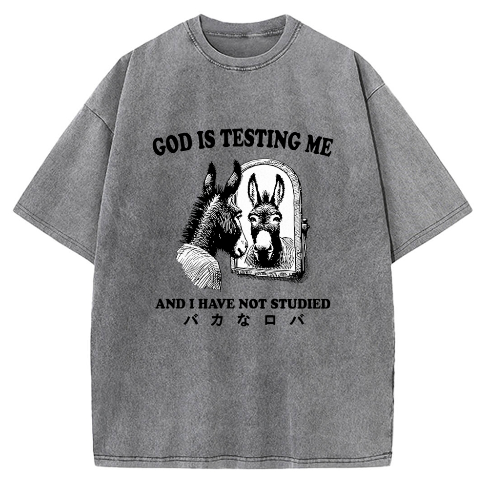 Studied Donkey Meme Vintage Washed T-shirt