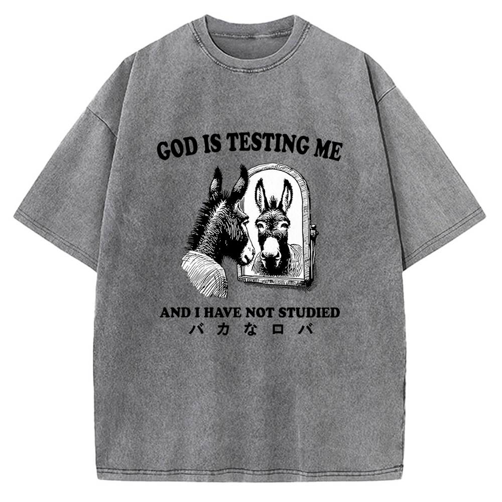 Studied Donkey Meme Vintage Washed T-shirt
