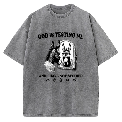 Studied Donkey Meme Vintage Washed T-shirt