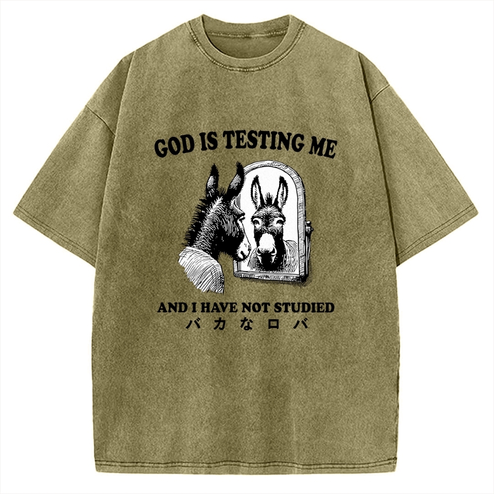 Studied Donkey Meme Vintage Washed T-shirt