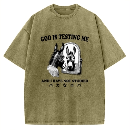 Studied Donkey Meme Vintage Washed T-shirt
