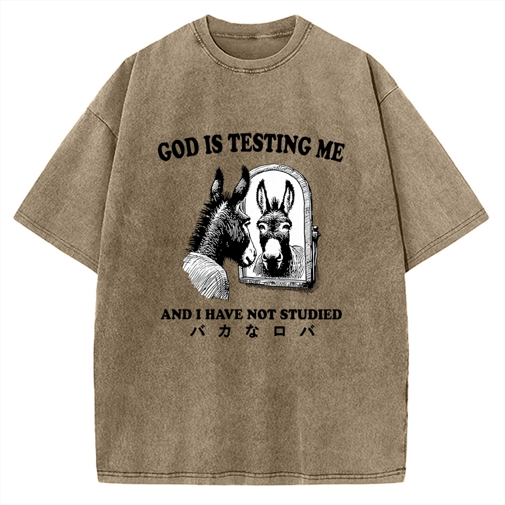 Studied Donkey Meme Vintage Washed T-shirt