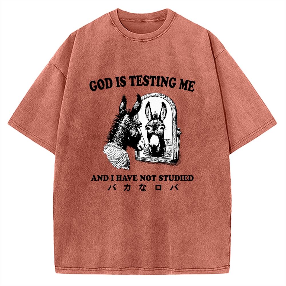 Studied Donkey Meme Vintage Washed T-shirt