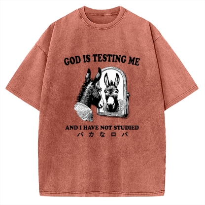 Studied Donkey Meme Vintage Washed T-shirt