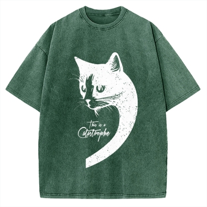 This Is A Catastrophe Vintage Washed T-shirt